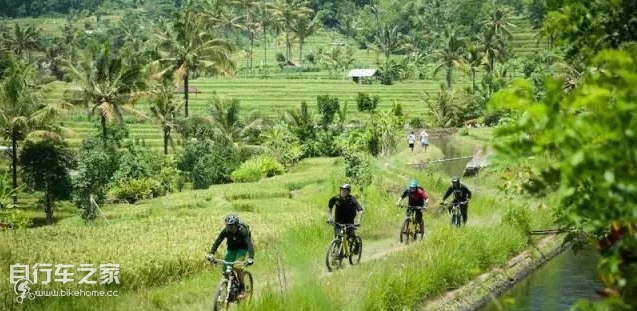 九个建议，让你提升春季骑行的享受！