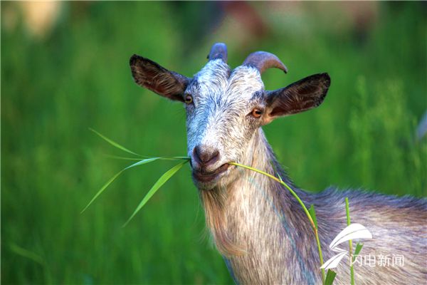 长寿湖美食文化节,美食美景迎双节