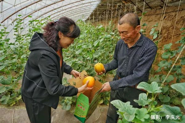 磴口的华莱士哪里有卖,天下第一瓜只有在磴口能吃上
