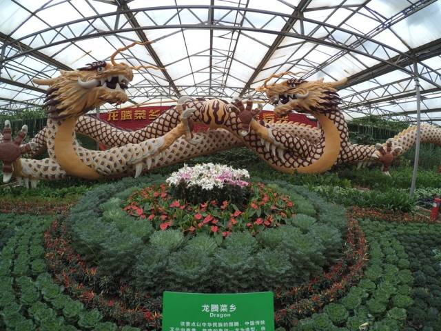 带上小蚁运动相机游潍坊（三）寿光菜博会