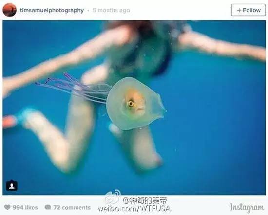 看魔兽影片,看魔兽应该知道的事