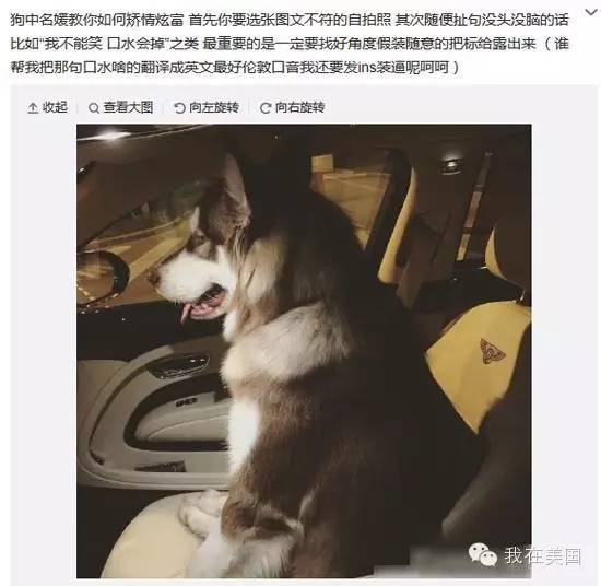 王思聪自曝女友为其堕胎又火了,但外媒只关心老公最宠的那个网红