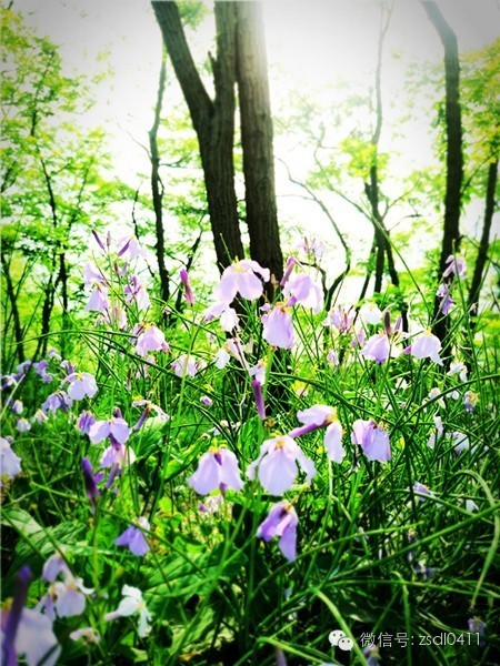 大连小众海边滨海路,大连最美海滨路在哪