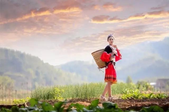 远道而来的水果,远道而来的异域美味