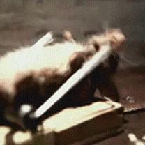 抹茶美妆现在怎么了,抹茶减肥视频教程