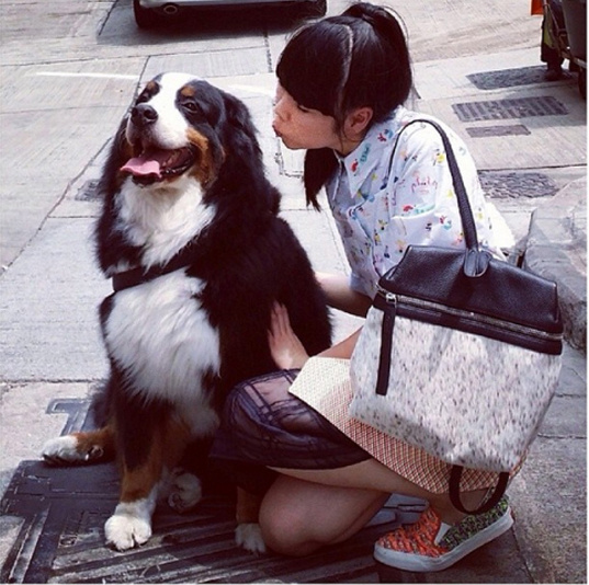 杨幂小糯米买包包,杨幂宋佳