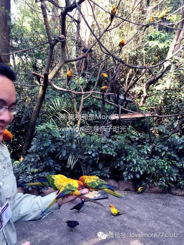 一日游广州长隆野生动物园攻略,广州长隆野生动物园自由行攻略