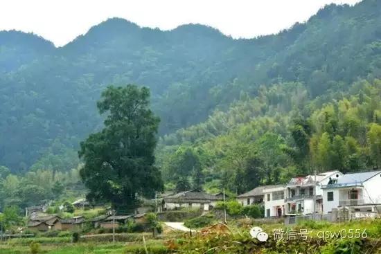 璧伴亶娼滃北,璧伴亶瀹夊窘瀹夊簡