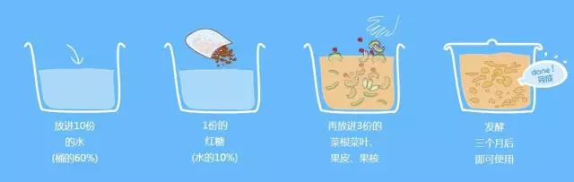 酵素真那么神吗揭开神秘真相,酵素真的有用吗测评