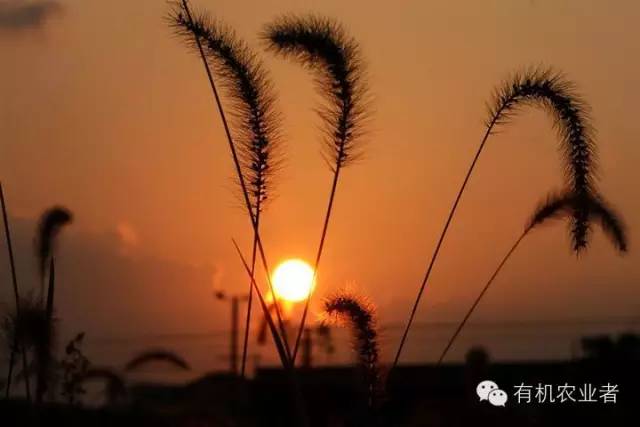 曾经结伴同行,曾经一起走过的路图片