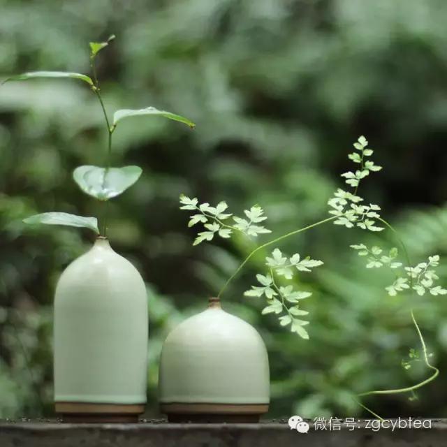 谁给我买个这种壶承，我给他泡一辈子好茶！