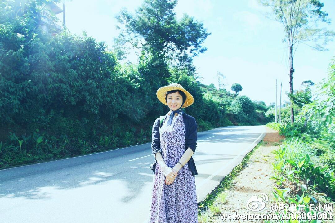 怎样选锡兰红茶,小白学茶的100个基础