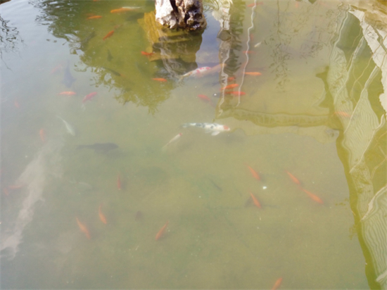 大神note3开箱视频,红米note3全网通标配和高配