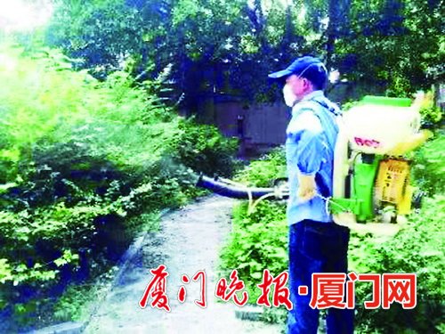 平常会被蚊子传播疾病吗,晚上被蚊子叮了用什么好