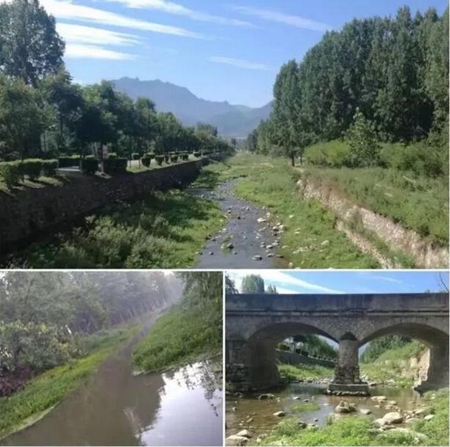 履职尽责——李刚毅为西安市长安区王曲建树起一道靓丽的风景线