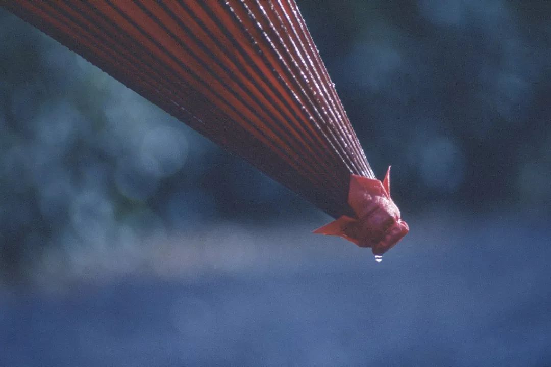 谷雨夜来风雨声花落知多少,花落知多少是谷雨吗