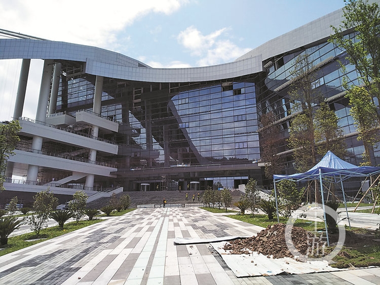 解码忠县“加速度”：橘子还没红电竞物流和创业先红透了