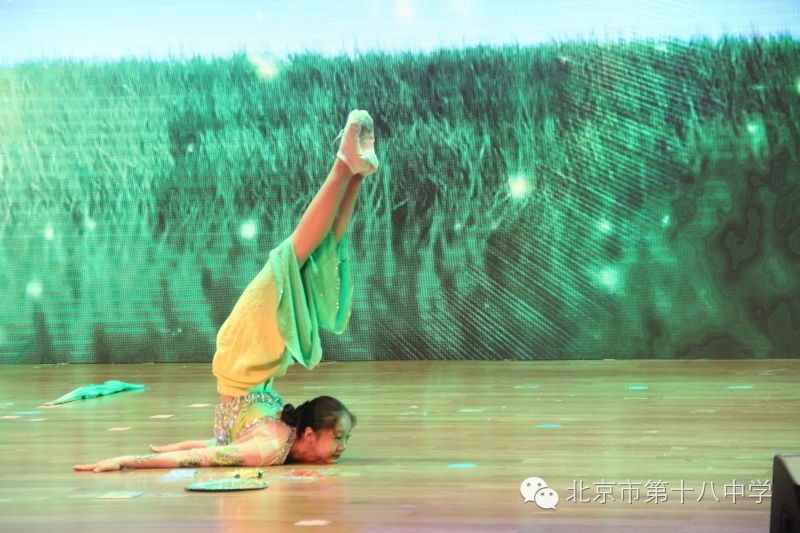 校园六一晚会舞蹈中学,北京市第十八中学舞蹈团