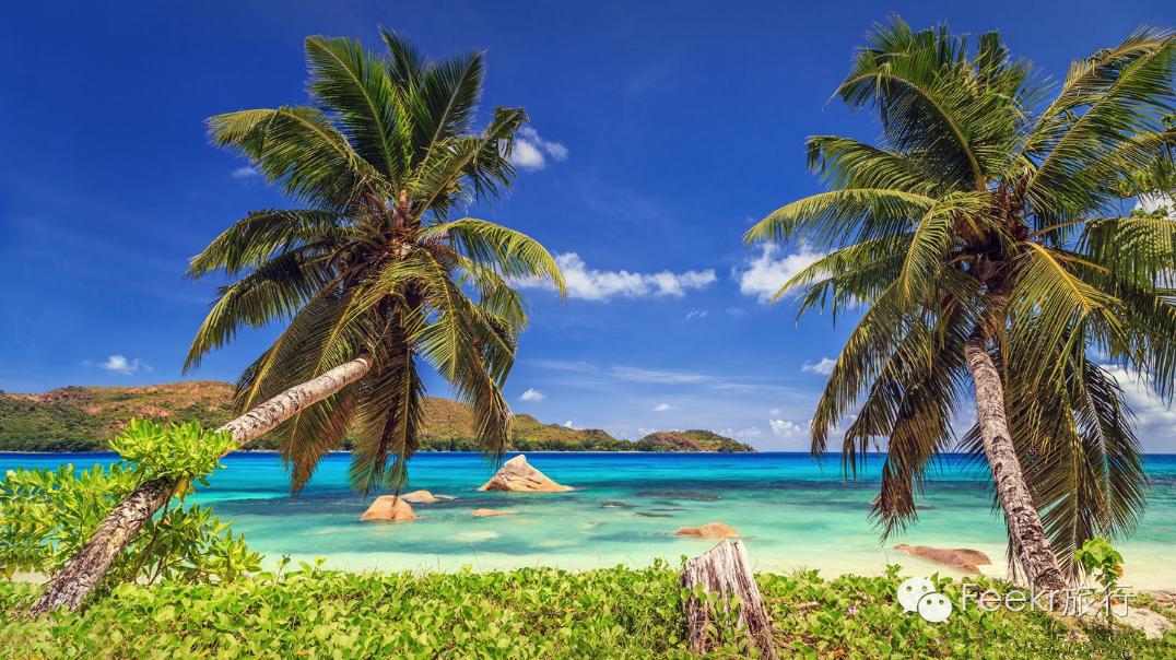 世界十大海岛最美海滩,全球最美十大海岛粉色海滩