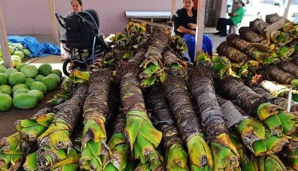 又有一个神秘岛国对中国免签,这个以胖为美的国家,美到极致!