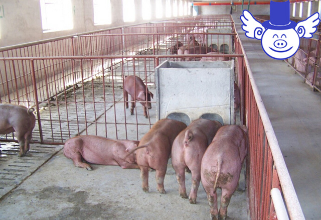 如何解决相互压价,面对同行压价怎么办