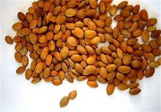 便秘痛经中药配方,经量多痛经有血块中药调理得多久