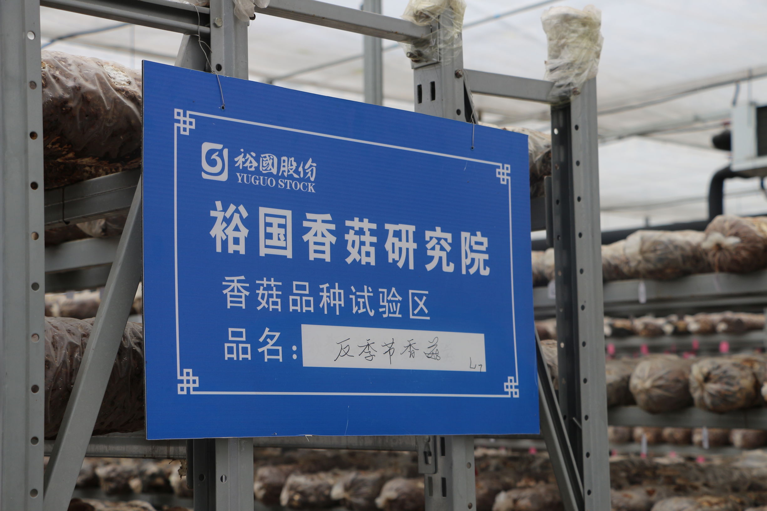 大美中国随州旅游攻略,灵秀湖北千湖之地