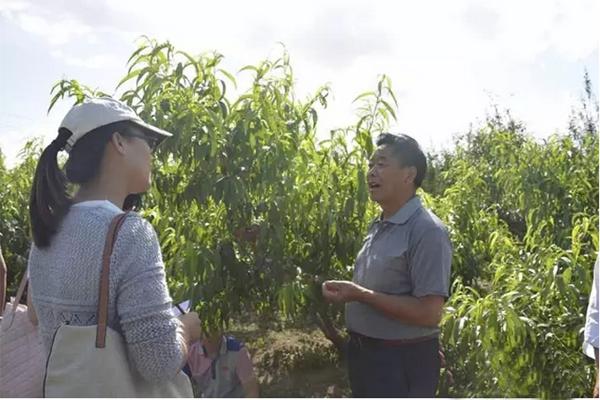 万荣油桃“国际化”的“前世今生”