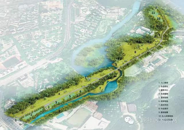 深圳有哪些公园可以免费开放,深圳有特色的免费公园