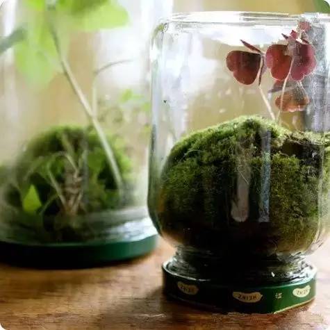 正愁多余的瓶子没地儿放，这下全解决了