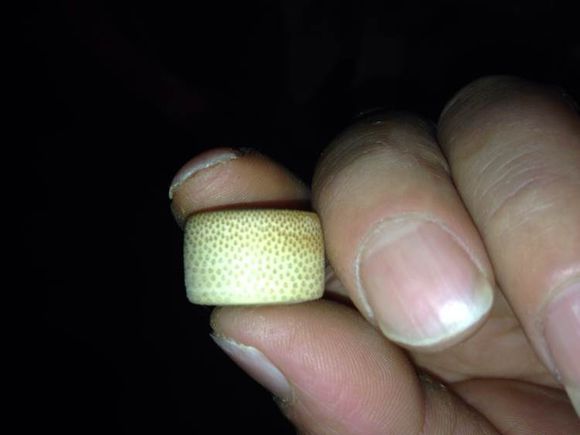 树枝车珠子,用松树车珠子