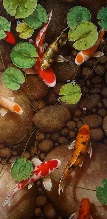 古诗中的鱼诗句,古诗鱼儿