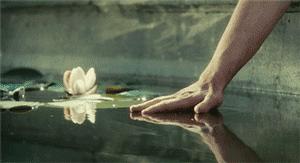 甲骨文拆字:老猫叔叔解忧解惑第11弹!