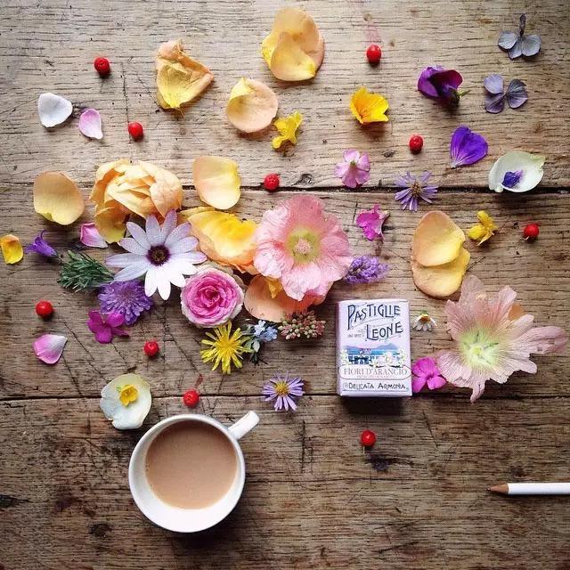 这些镜头里的花，让我瞬间变“花痴”