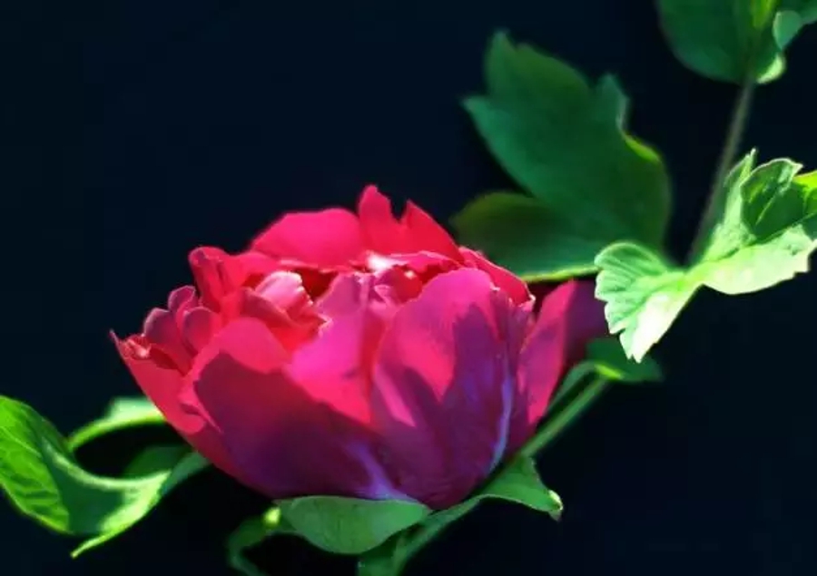 汉字字形字音之美,汉字有字音之美