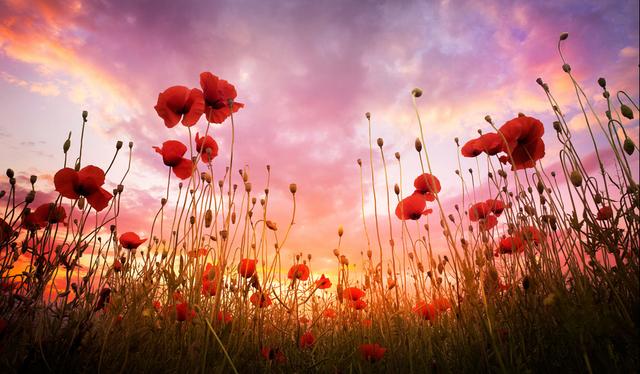 海南医保定点医院有哪些,海南医疗保险定点医院信息一览