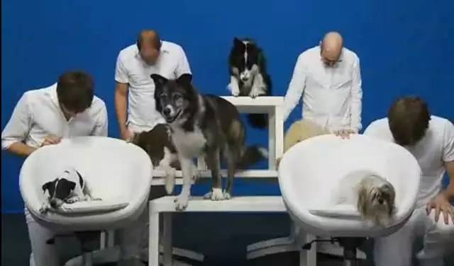 还好有OKGO治好我的性冷淡(跪着看完)……