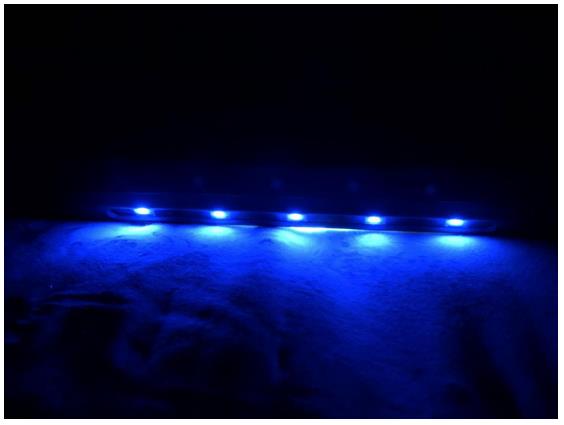 小狗牌除螨吸尘器d165,小狗吸尘器d-526b除螨仪