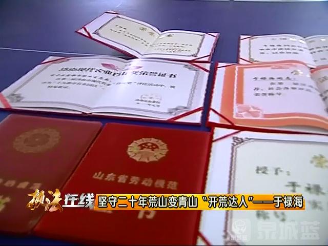 坚守二十年秃山变青山南部山区有个开荒达人于禄海