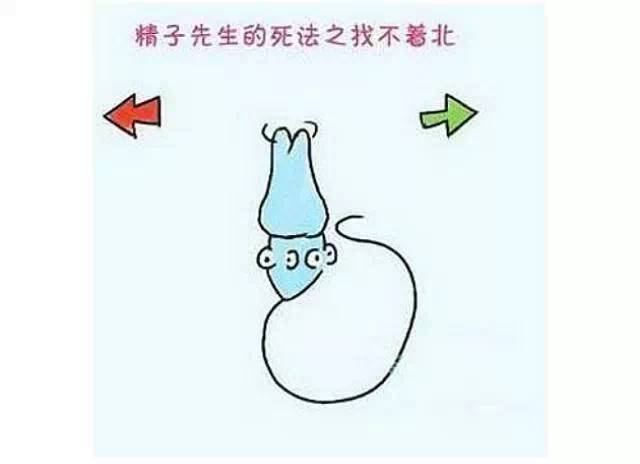 休闲｜爸爸的精子！备孕中的悲欢离合