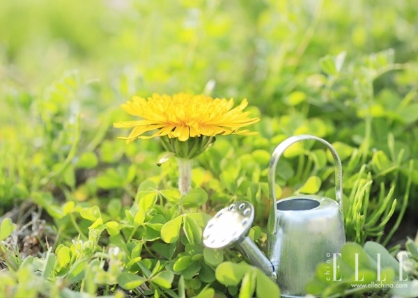 为什么说婚姻熬不过七年之痒,如何看待婚姻的第二个七年之痒