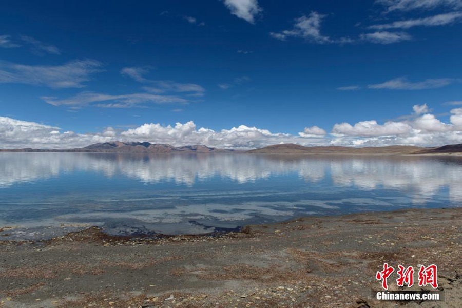 雪域高原风光秀丽视频,雪域高原的美丽风景