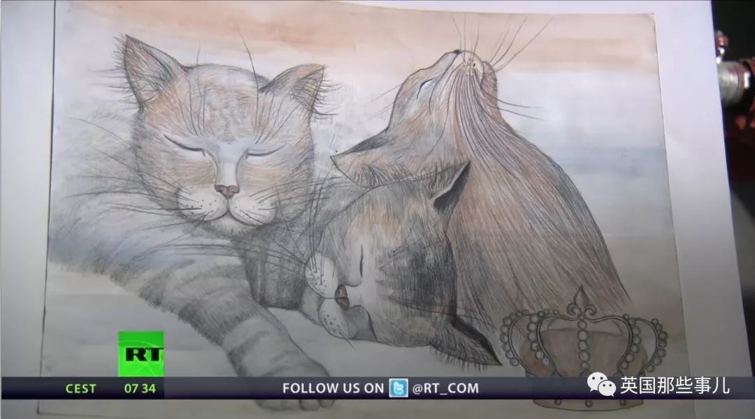 俄罗斯冬宫猫,俄罗斯冬宫里的猫