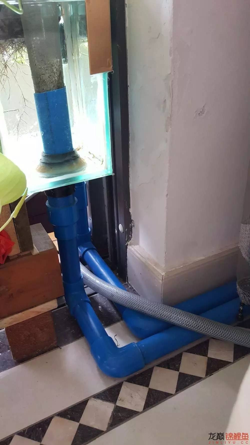 子母生态缸丨庭院深，深，深几许？