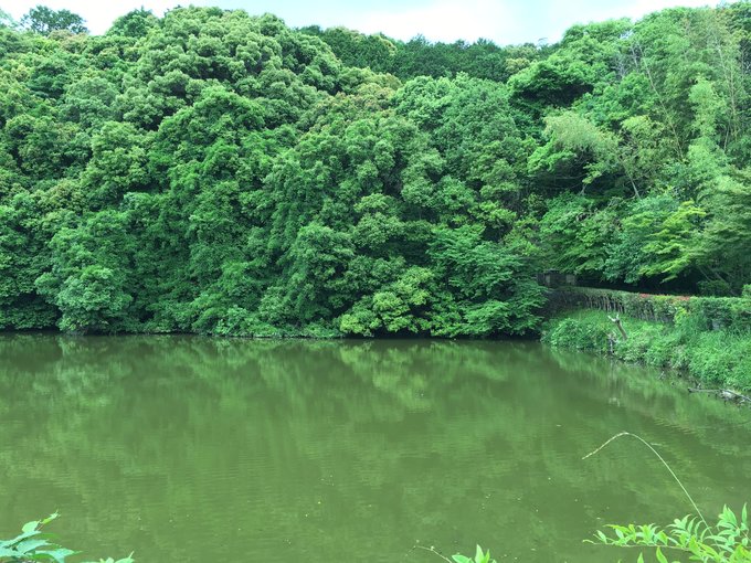 年假连端午，二次进日，关西8日游：京都、岚山（嵯峨野观光小火车、岚电）、奈良、环球影城