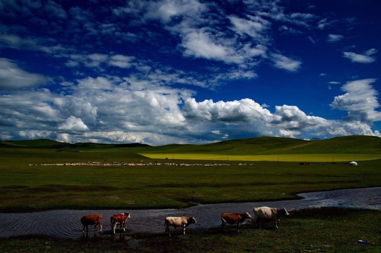 全国最美的六个地方,6月国内最美的10个地方