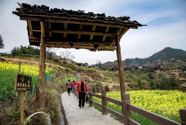 怀化溆浦县山背梯田全景,溆浦山背梯田
