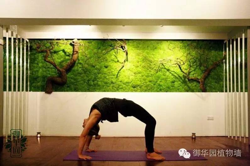 新鲜出炉┃十大唯美植物壁画排行榜,第一名竟然是......