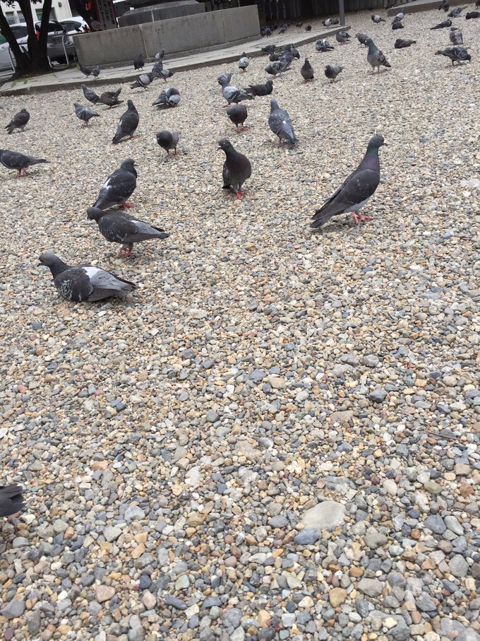 日本自由行高山白川旅游攻略,日本高山白川乡攻略