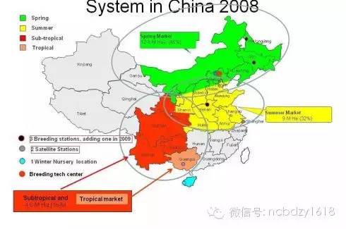 中国第三大玉米品牌,中国三大玉米交易市场